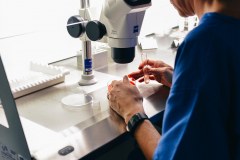 Wijnland Fertility Clinic Laboratory_21